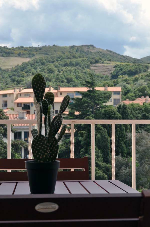 Ibanova Appartements Collioure Kültér fotó