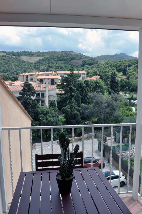 Ibanova Appartements Collioure Kültér fotó